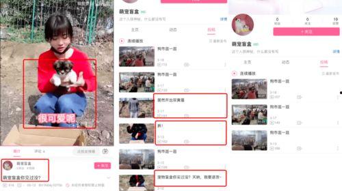 爆料盲盒事件是真的吗视频,真相与谣言的较量